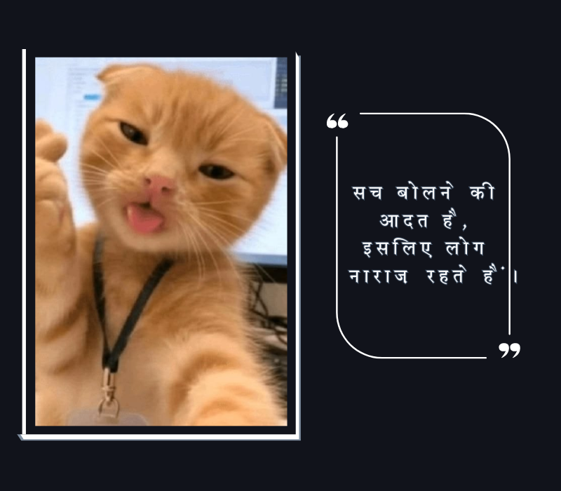 ताने मारने वाले स्टेटस इन हिंदी