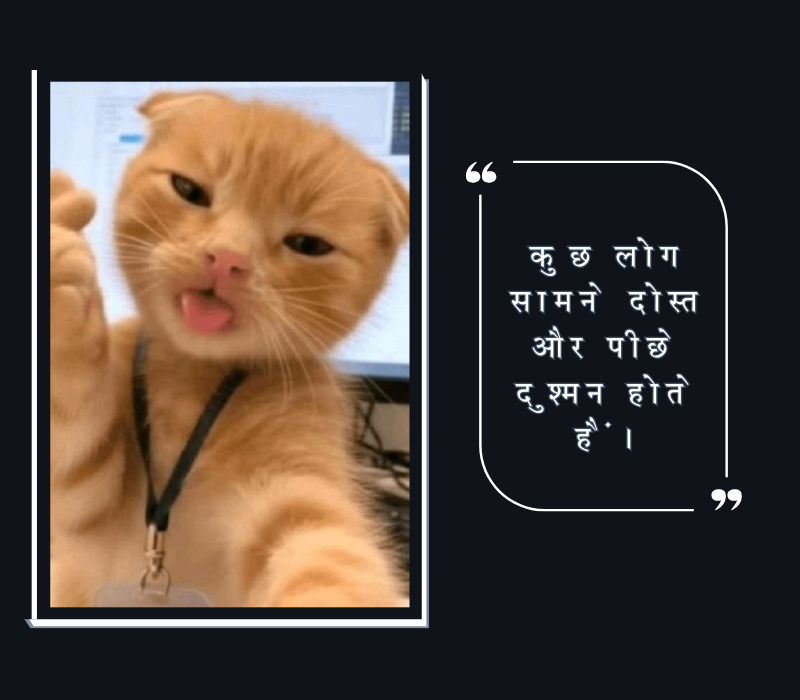 ताने मारने वाले स्टेटस इन हिंदी