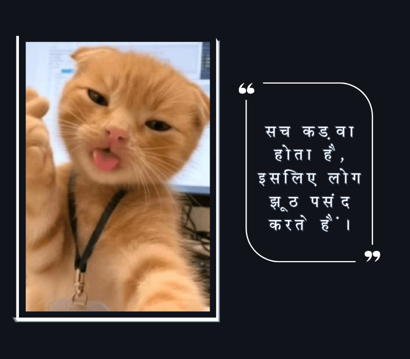 ताने मारने वाले स्टेटस इन हिंदी