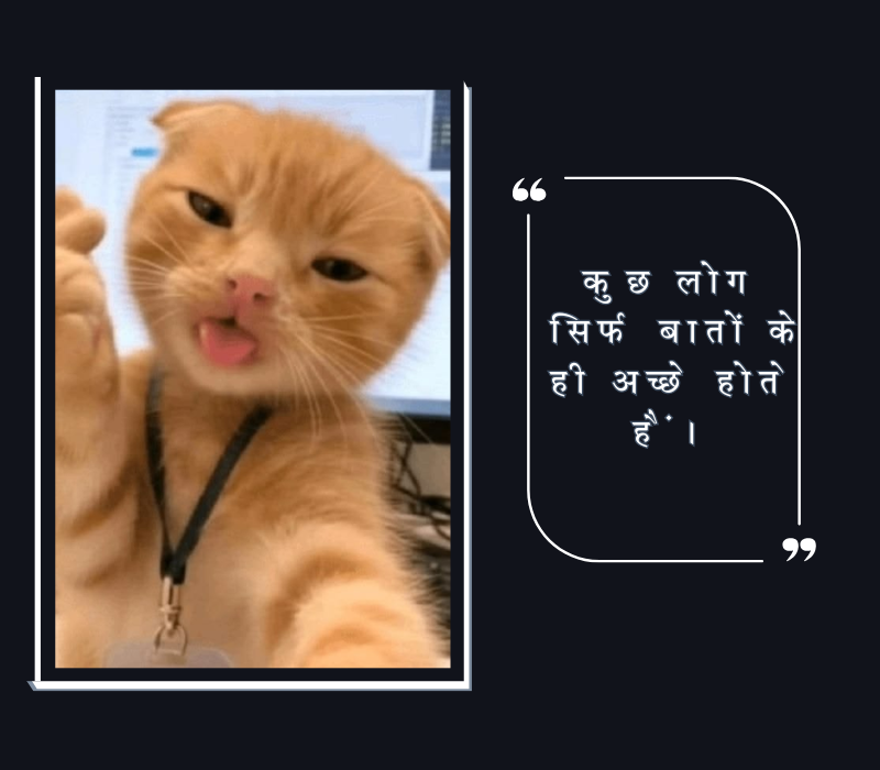 ताने मारने वाले स्टेटस इन हिंदी