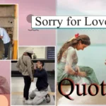 sorry quotes for love