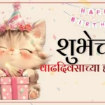 वाढदिवसाच्या हार्दिक शुभेच्छा बॅनर