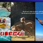 सायरी जिन्दगी