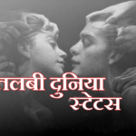 मतलबी दुनिया स्टेटस