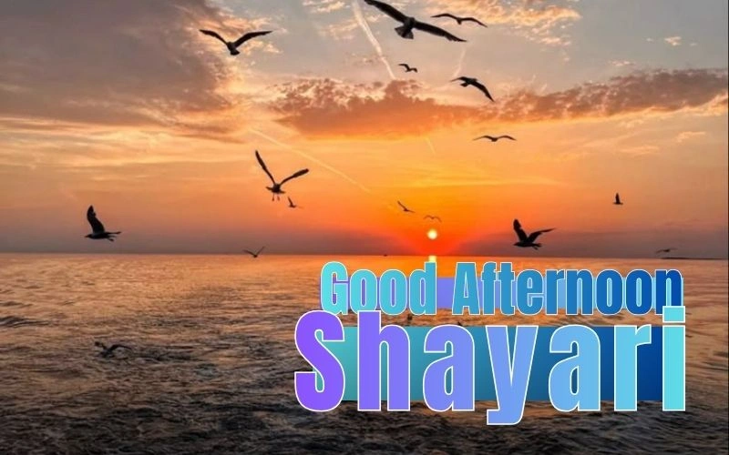 Good Afternoon Shayari