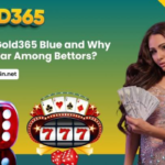 Top Features of gold365 blue Every Player Should Know